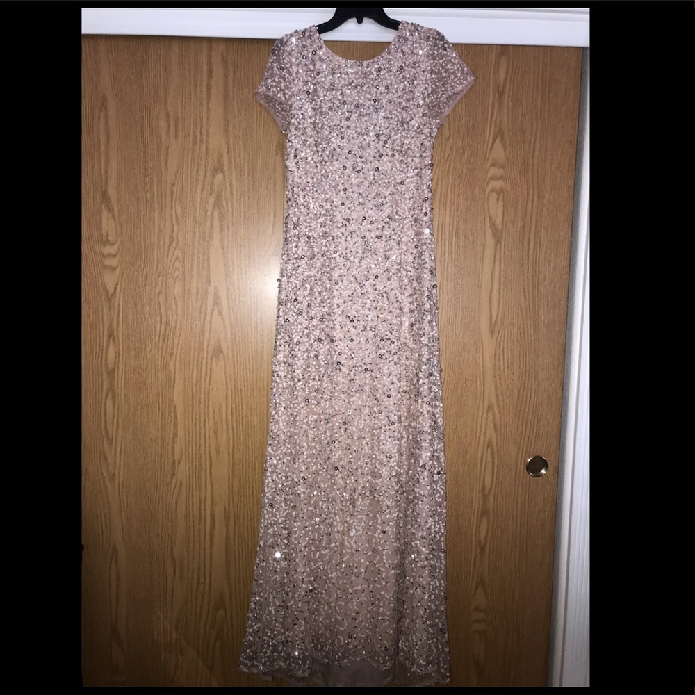 Long Adrianna papell dress